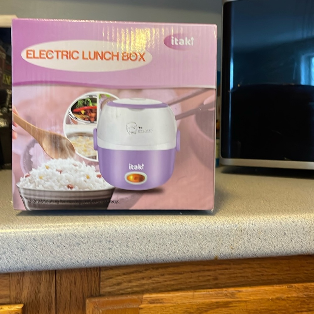 Electric lunchbox